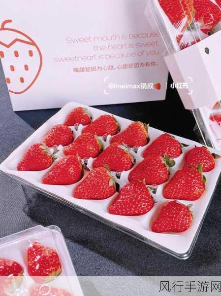 草莓 视频在线观看比赛app-畅享草莓拓展赛，精彩不断！🍓🏆