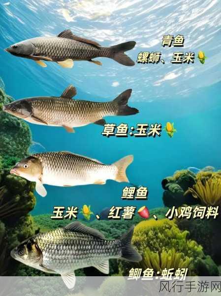 烟雨江湖,探秘鲶鱼钓点 寻找最佳钓鱼位置秘籍