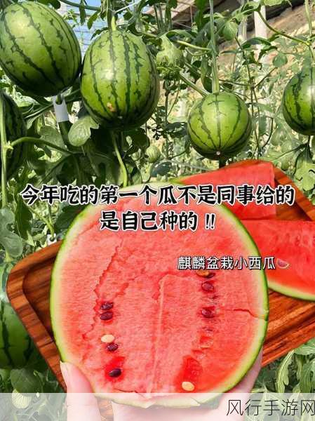 黑料吃瓜精品在线-揭秘黑料真相,吃瓜不再盲目!🍉👀