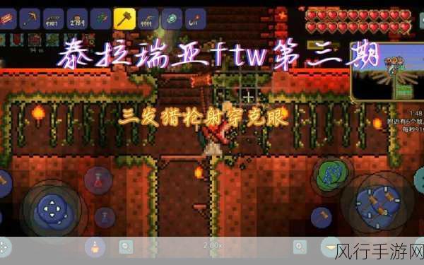 探索泰拉瑞亚,获取哥布林数据仪的终极指南