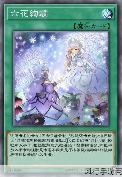 游戏王决斗链接,新人入门卡组选择与财经分析