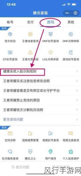 王者荣耀人脸识别错误代码全解析