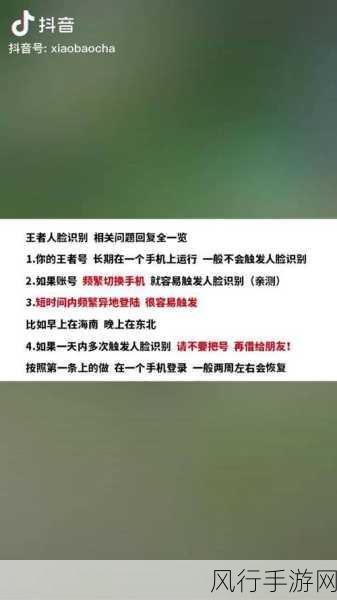 王者荣耀人脸识别错误代码全解析