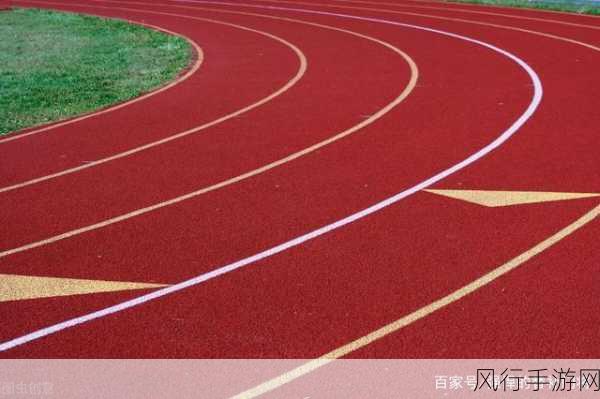 探秘运动场为何南北朝向及蚂蚁庄园中的正规运动场
