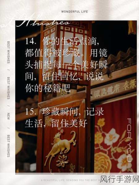 探索 12 月说说的魅力,简短而精彩的分享秘籍