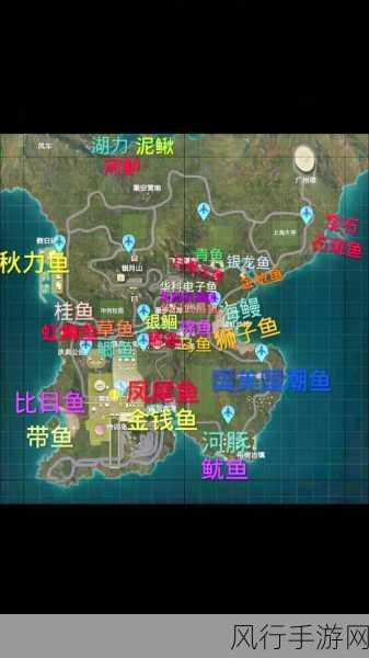 和平精英绿洲洲世界钓鱼攻略,解锁财富与乐趣的新篇章