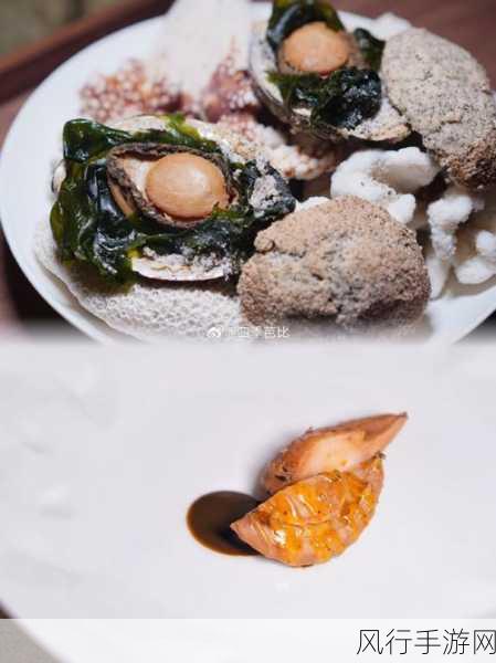 鸡宝厨房,全方位攻略指南,带你玩转美食世界