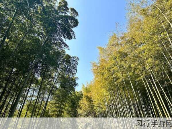 在疯狂猜成语中探索地与人的奥秘