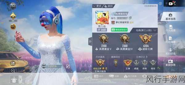 和平精英战绩隐私设置,手游公司如何平衡用户体验与数据安全