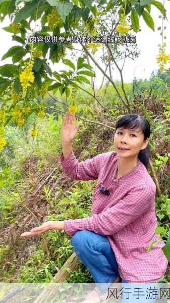 元气骑士,揭秘花园宠物喂养的惊人效益,你真的了解它的价值吗?