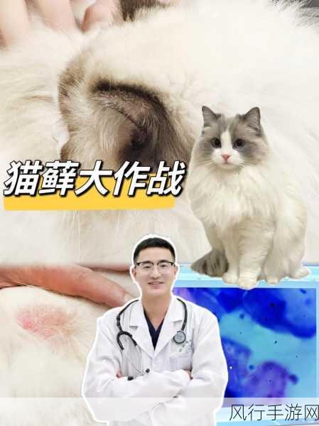 部落大作战宠物转生系统深度解析与财经影响