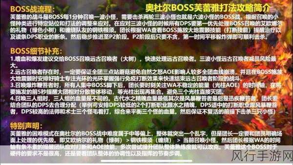 深度解析，魔兽世界怀旧服 WLK 奥杜尔攻略全集
