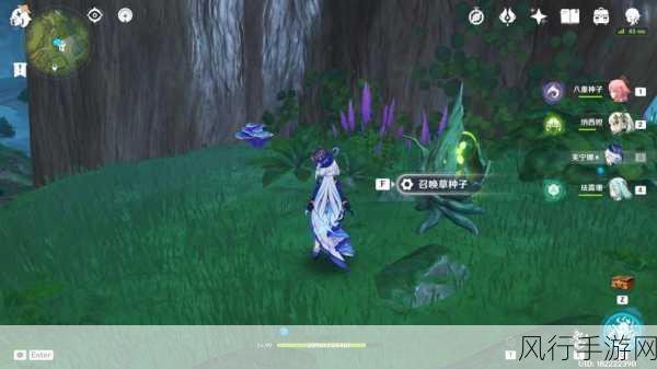 原神树王圣体菇高效采集策略,手游公司视角下的经济分析