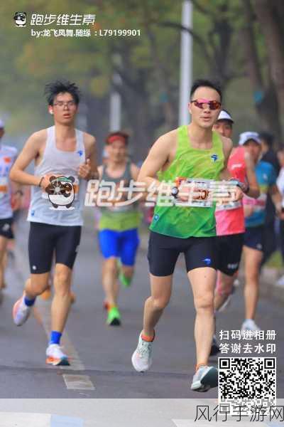 顶级跑马牧场攻略,最全跑马图鉴及致胜秘诀