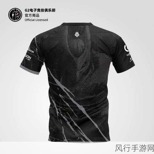 Dota2 Ti13 中 G2xIG 战队成员大揭秘