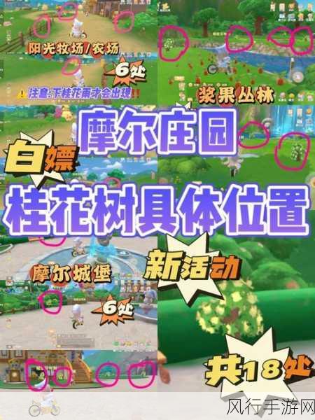 摩尔庄园手游,牧场神秘湖位置揭秘与财经数据透视