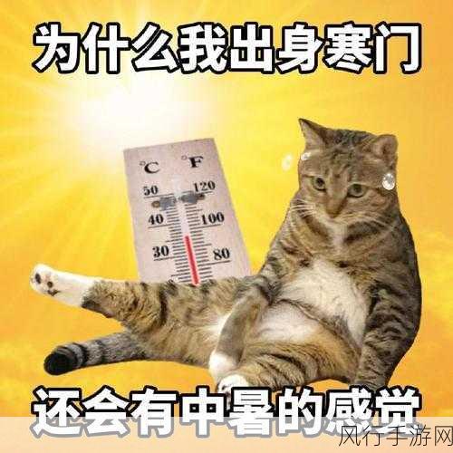 热到满头大汗表情包大赏及获取指南
