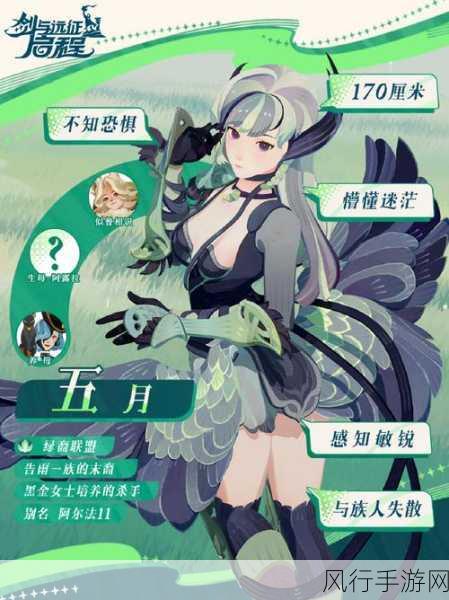 剑与远征启程传承灵器与全露滴图鉴深度解析