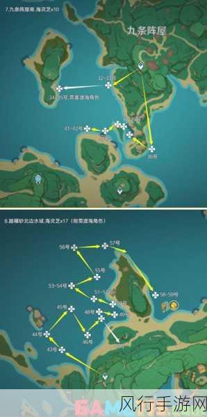 原神莲蓬资源分布与用途深度解析