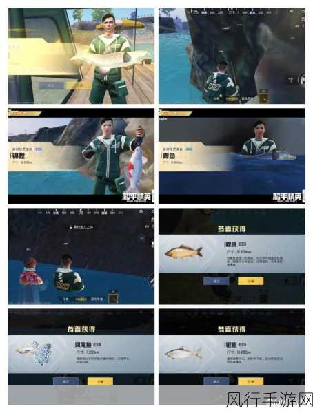 和平精英绿洲世界,钓鱼攻略与财经数据解析