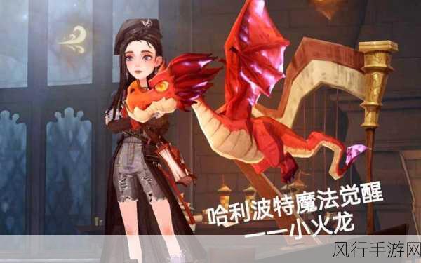 哈利波特魔法觉醒,火龙卡组引领市场热潮