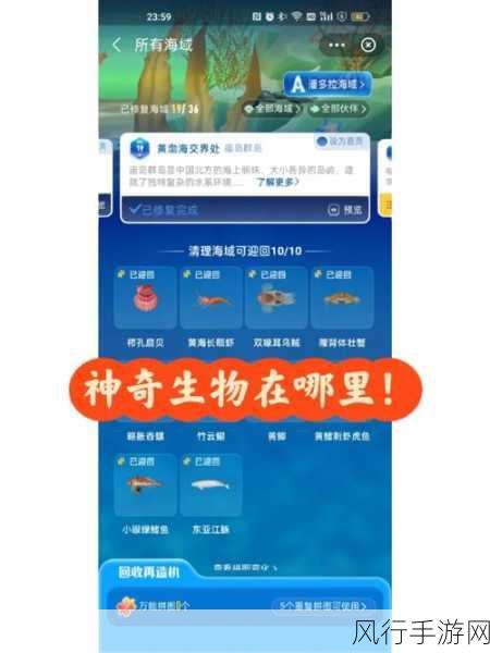 探索神奇海洋，支付宝与打孔巨匠的奥秘
