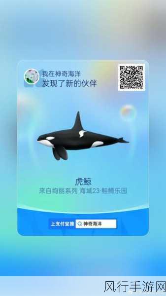探索神奇海洋,支付宝与打孔巨匠的奥秘