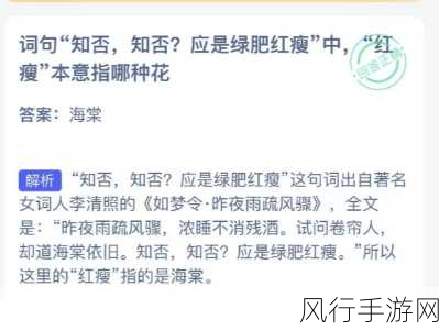 手游蚂蚁庄园中的绿肥红瘦之奇妙探索