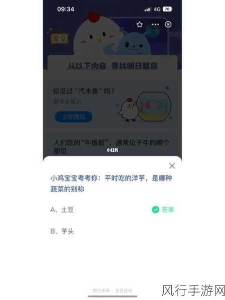 探索 4 月 3 日蚂蚁庄园答案的奇妙之旅