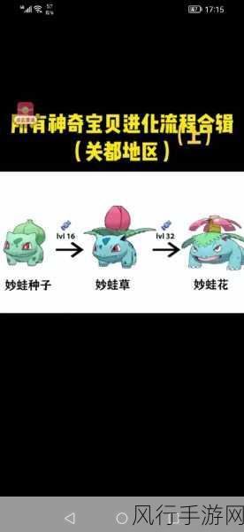 宝可梦大探险进化秘籍,全面解析宝可梦的进化方法