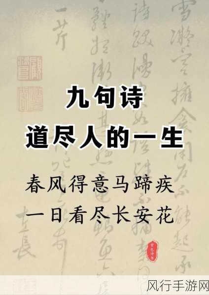 春风得意马蹄疾,古人金榜题名之乐与蚂蚁的启示