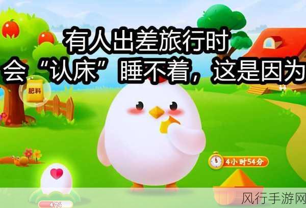 探究出差旅行时认床睡不着的奥秘与小鸡庄园今日趣闻