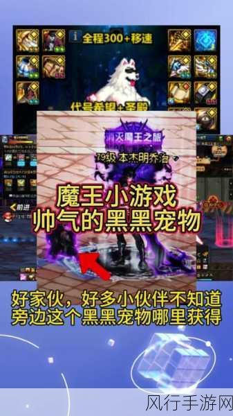 DNF宠物刘关张，谁才是你的最佳投资之选？
