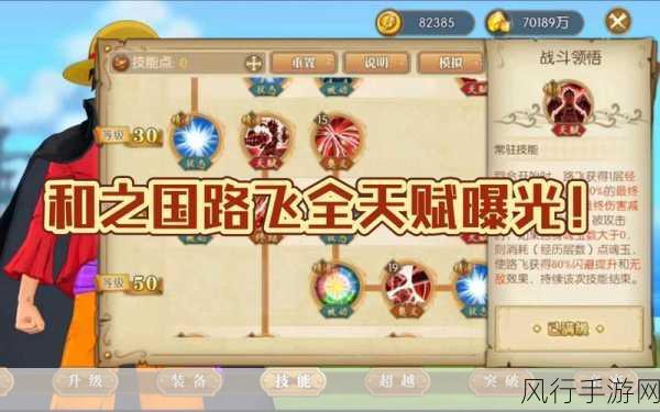 战国角色深度解析,航海王燃烧意志中的套装与装备选择策略