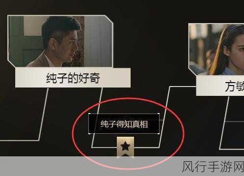 深度解析,隐形守护者第十章极恶非道通关秘籍