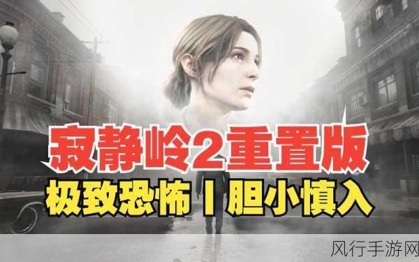 深入探索寂静岭 2,全面攻略秘籍大揭秘