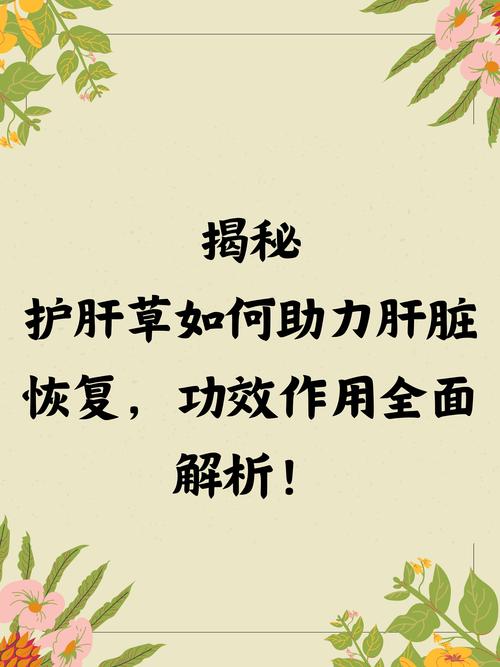 探秘<睡梦之中>,全面攻略秘籍大揭秘