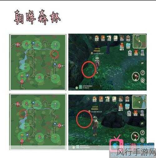小森生活木灵峡谷探险装备指南,精准匹配,提升游戏经济收益