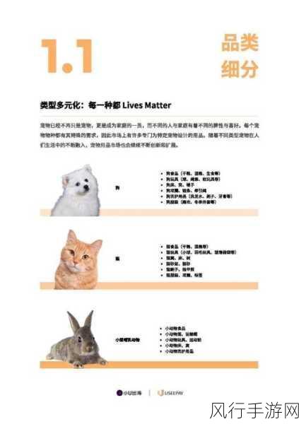 我的勇者2022血瓶位宠物市场分析报告