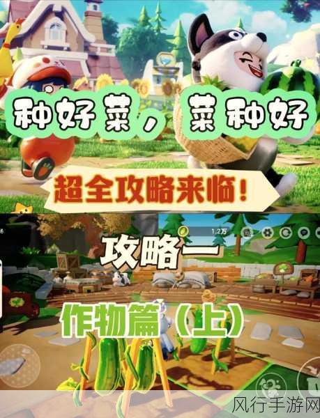 暖暖温泉乡名泉 100 完美布局攻略大揭秘