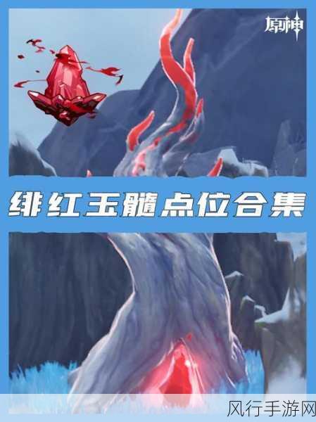 原神无相之冰附近绯红玉髓高效获取攻略