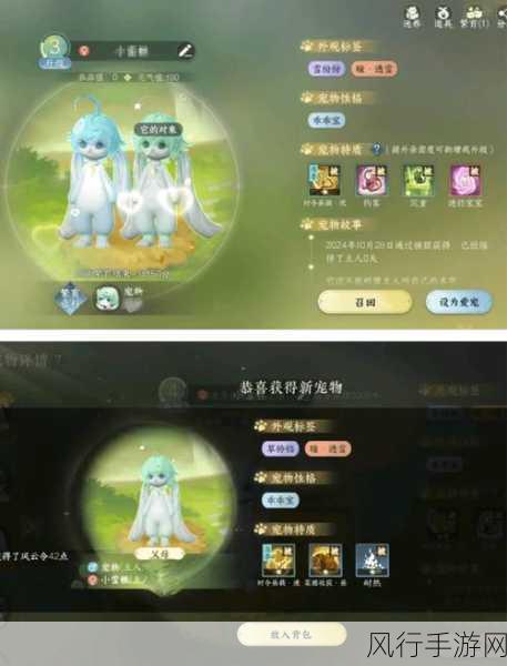 安琪拉之歌攻略全解析，宠物获取与战斗技巧秘籍
