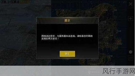 绝地求生刺激战场,背包管理策略与财经数据解析
