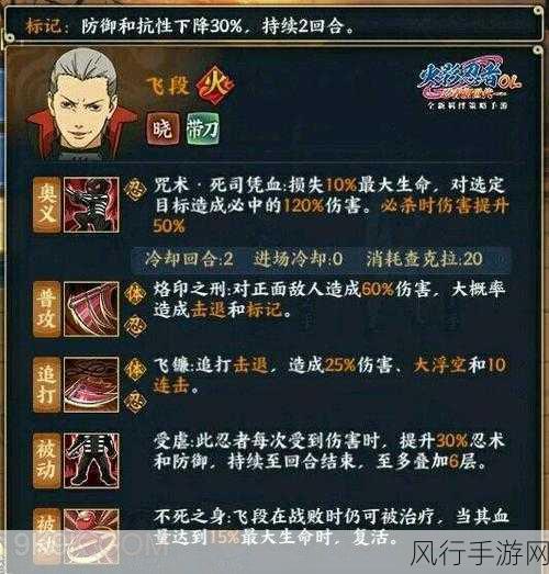 火影忍者OL，雷主与飞段搭配策略解析及财经数据