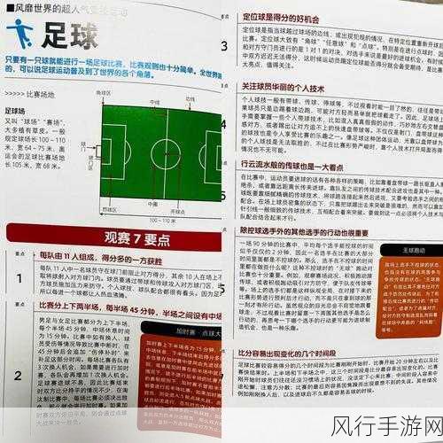 足球 2013 全方位攻略秘籍大揭秘