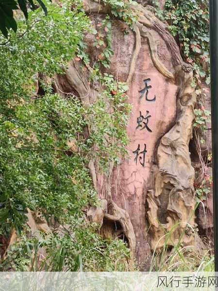 探秘江西无蚊村，蚂蚁新村的神奇夏天