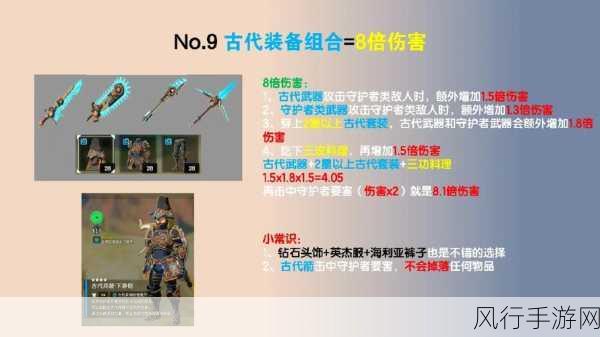 掠夺之剑暗影大陆新手必知的通关秘籍与技巧指南