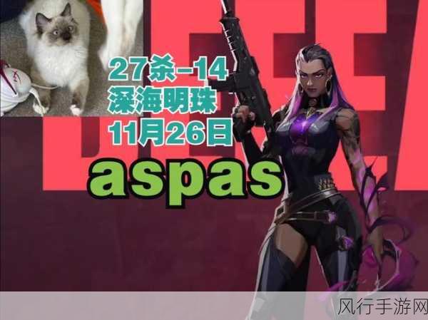 探索瓦洛兰特Valorant官网,精彩世界的入口
