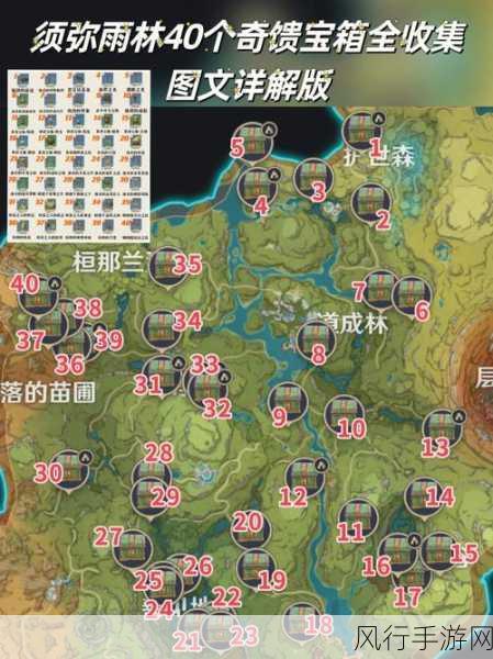 原神须弥探秘,十七个珍贵宝箱位置全解析