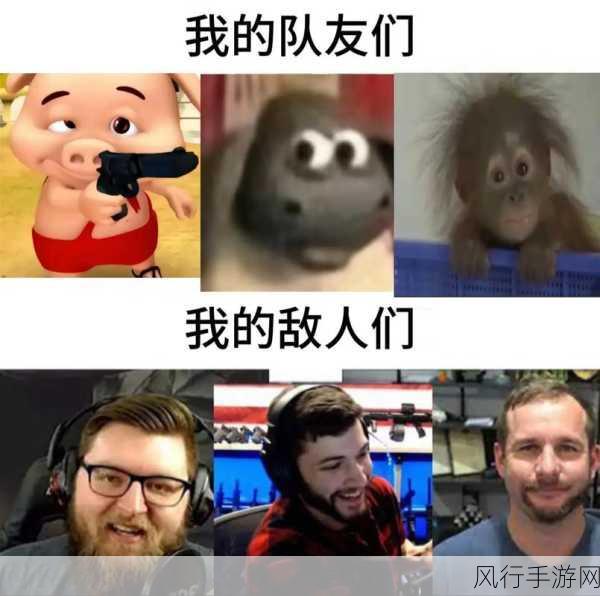 抖音趣梗与游戏中的奇妙反转,探索背后的秘密